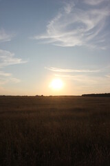 sunset in the field