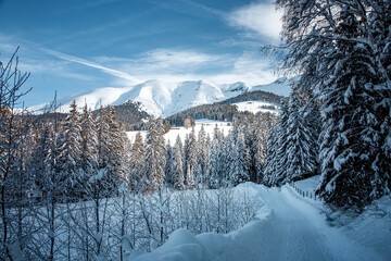 Winter wonderland in Megève, in a natural setting with a breathtaking view of the mountains.