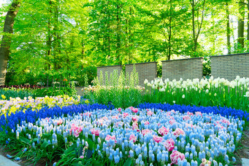 fresh lawn with flowers