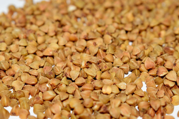 selective focus on placer buckwheat close up