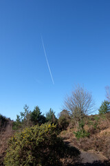 Febuary 2021 Hindhead Common,