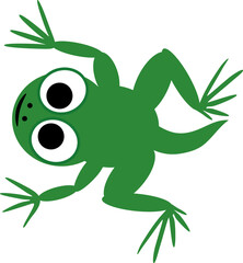 Cartoon green froglet with tail and big eyes isolated on white background