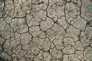 dry ground with many small cracks
