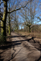 Febuary 2021 Hindhead Common,