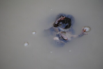 Accouplement de grenouilles dans une eau trouble au printemps