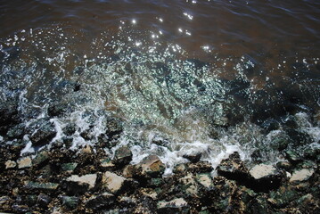 Rocky Coast