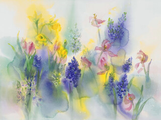 Yellow narcissus in blue and violet watercolor background