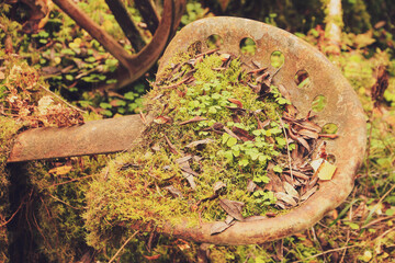 Seat of old grass mover for horse.
