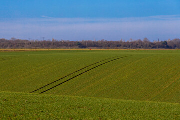 Sloping agricultural fields near Maastricht till the horizon where a row of trees provides a natural border between the Netherlands and Belgium