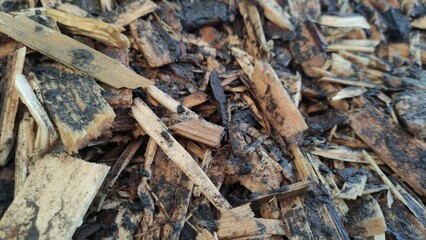 Wood chips are fuel for green electricity generation. Alternative energy. Environmental Protection
