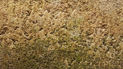 texture of cement wall