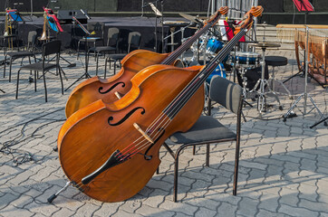 Stringed bowed musical instrument double bass