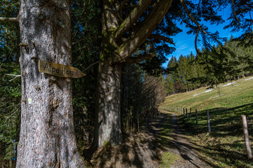 Walk along the premium hiking trail Wild Water