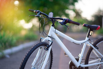 sports bike with 16 speeds without logos on a background of green trees