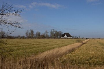 Naklejka premium Marschland mit Haubarg in Nordfriesland