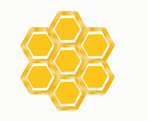 honeycomb honey isolated on a white background