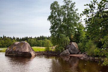 Summer landscape on the rocky shore of the lake
