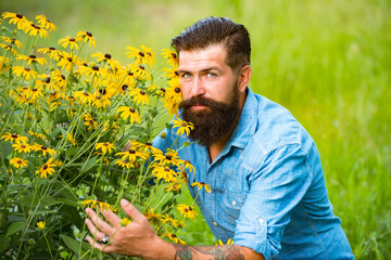 Naklejka na ściany i meble Carefree bearded man outdoor. Spring flowers. Unity with nature. Field and meadow.