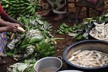 Banane plantain en préparation dans la cuisine du Burundi, Afrique. Cuisine à l'eau © Julien Rondez