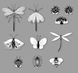 Set with insects: butterflies, dragonflies, ladybugs, beetles, bee, water strider. Monochrome selection.