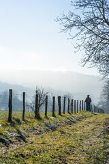 Obraz premium un promeneur fait une pause face au brouillard, Bohas-Meyriat-Rignat, Ain, France