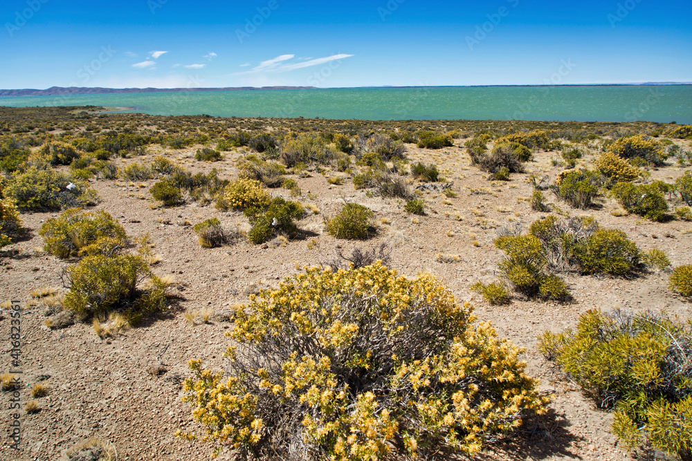 Wall mural Argentina, Chubut. Lake Musters.