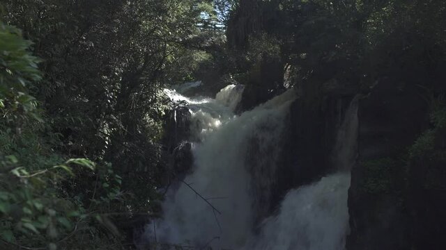 waterfall in the forest