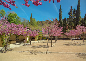 The gardens of the Alhambra in Granada