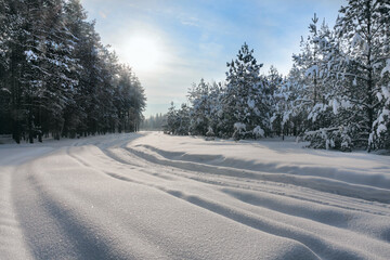 Winter road on snow-covered forest.