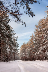 Winter scenes.Snow-covered road in countryside. Winter road in the forest. 