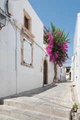 Fototapeta na wymiar Beautiful white street in Lindos with a pink Bougainvillea tree, Rhodes, Dodecanese, Greece