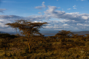 Fototapeta na wymiar Kenia 