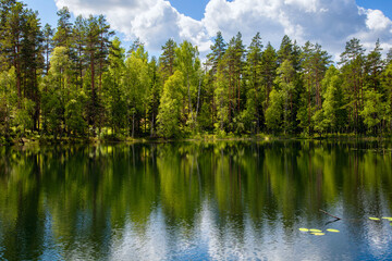 Fototapeta na wymiar Beautiful landscape on the shore of lake forest.