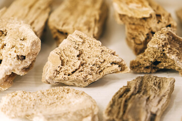 Stones of petrified trees on white background. Ancient old petrified wood, excavation, minerals. Copy, empty space for text