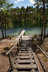 Beautiful landscape on the shore of lake forest.