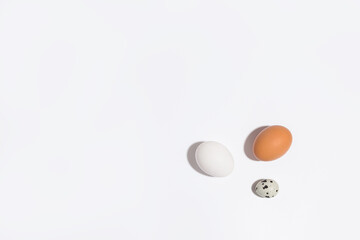 Three different eggs on a white background . Chicken and quail eggs on a light background with shadows. Lots of free space for text and copy space 