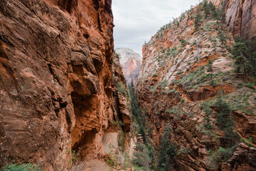 Close-up of Scout Lookout in Zion National Park, Utah