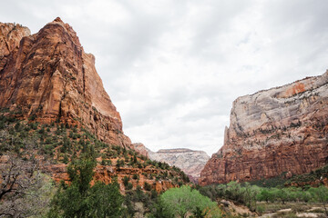 Fototapeta na wymiar Beautiful view of Heaps Canyon in Zion National Park, Utah