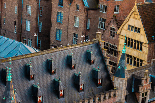 Tejado de edificio g&oacute;tico con gaviotas en Gante - B&eacute;lgica