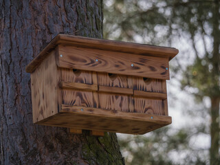 Holznistkasten im Wald