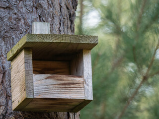 Nahaufnahme Vogel-Nistkasten