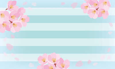 桜ストライプ背景青