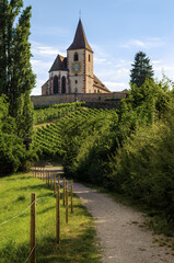 Summer sunset view of the medieval church of Saint-Jacques-le-Major in Hunawihr, small village between the vineyards of Ribeauville, Riquewihr and Colmar in Alsace, wine making region of France - 416830731