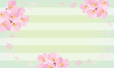 桜ストライプ背景緑