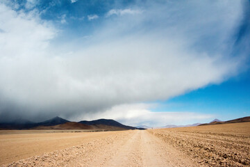 Tracks left by vehicles on desert land, Eduardo Abaroa Andean Fauna National Reserve, Potosi Department, Bolivia