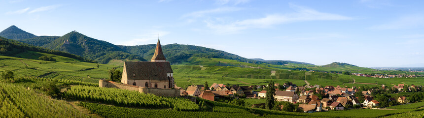 Summer sunset view of the medieval church of Saint-Jacques-le-Major in Hunawihr, small village between the vineyards of Ribeauville, Riquewihr and Colmar in Alsace, wine making region of France - 416830783