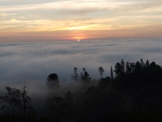 Obraz premium city in fog