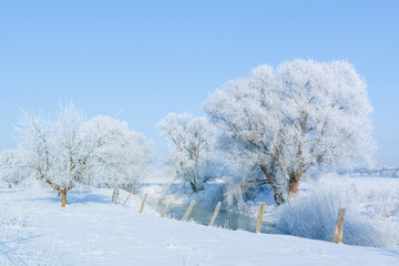 Fototapeta na wymiar A snow-covered landscape in the winter sun