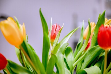 Naklejka premium spring flowers background