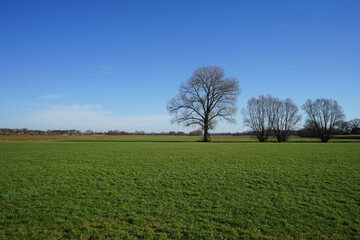 Offene Landschaft in Lippeaue bei Boke, Delbrück, Kreis Paderborn, Ostwestfalen-Lippe